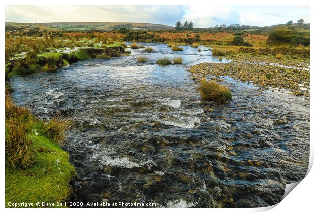 Dartmoor River Print by Dave Bell