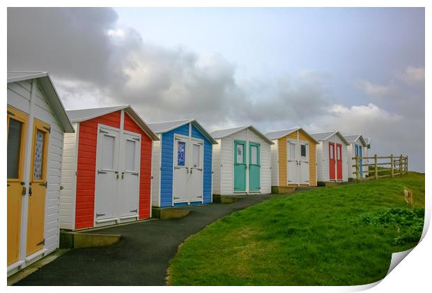 Curving Beach Huts Print by Dave Bell