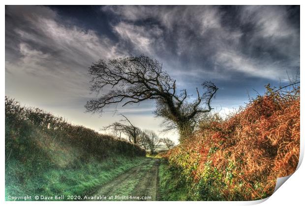Frosty Country Lane Print by Dave Bell