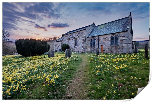 Spring daffodils at St Mary's church in Farnedale, North Yorkshi Print by Martin Williams