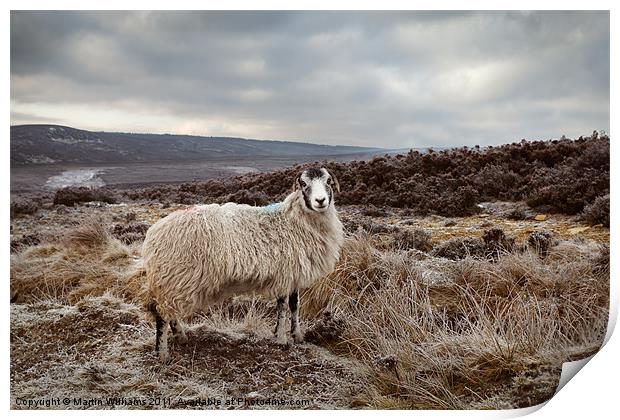 It's Cold on Them Moors. Print by Martin Williams