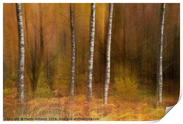 Impressions and Blurred Lines Print by Martin Williams