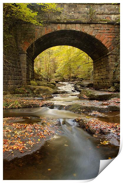 Bridge over May Beck Print by Martin Williams