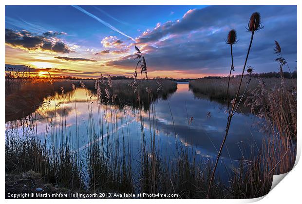 Reeds & Reflections Print by mhfore Photography