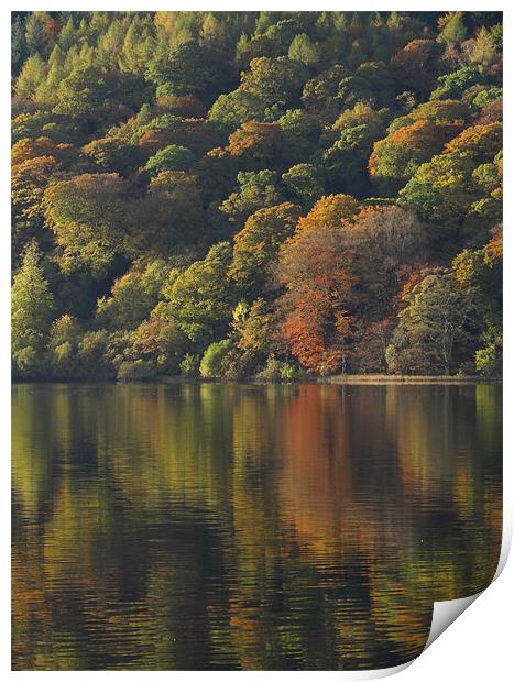 Autumnal Reflections Print by Cheryl Quine