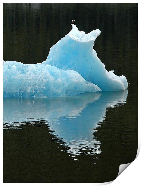 Iceberg with Eagles Print by Mark Llewellyn