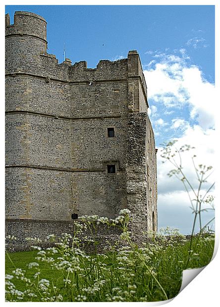 Donnington Castle Print by Mark Llewellyn