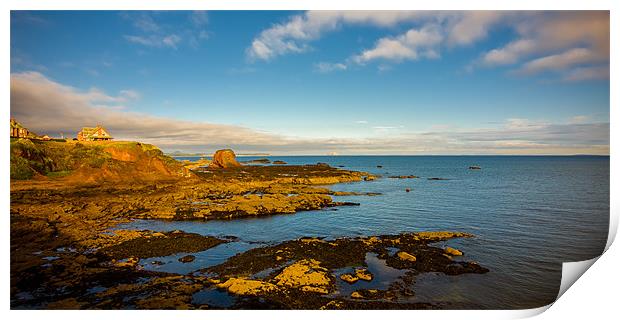 Bass Rock, Dunbar, Scotland, UK Print by Mark Llewellyn