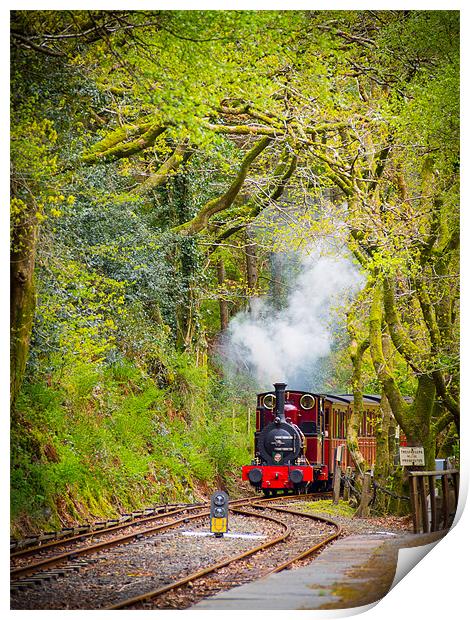 Steam Locomotive Dolgoch, Talyllyn, Wales, UK Print by Mark Llewellyn