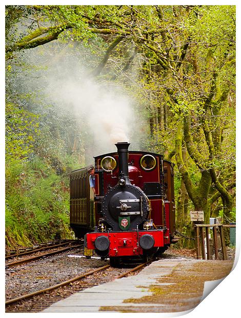Steam Locomotive Dolgoch, Talyllyn, Wales, UK Print by Mark Llewellyn