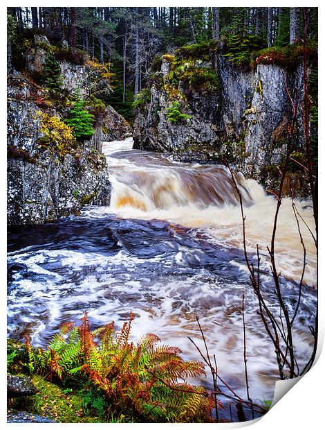 Laggan Falls, Scotland, UK Print by Mark Llewellyn