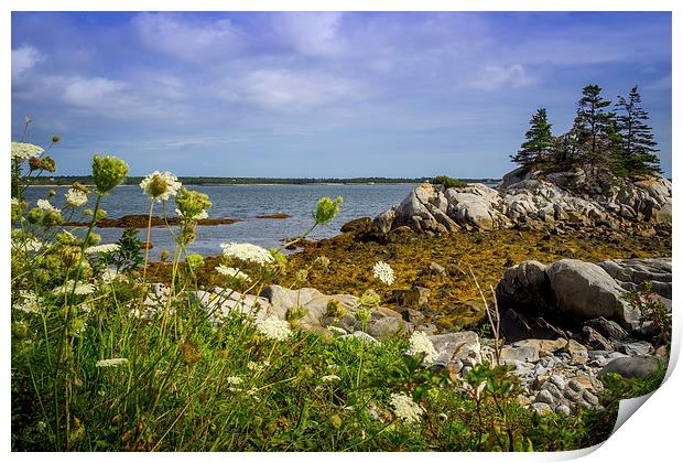 Pleasant Point, Nova Scotia, Canada Print by Mark Llewellyn