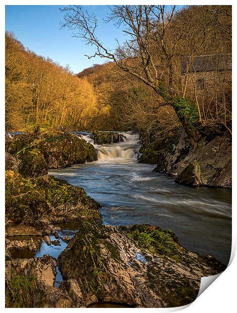 Cenarth Falls, Carmarthenshire, Wales, UK Print by Mark Llewellyn
