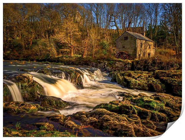 Cenarth Falls and Mill, Carmarthenshire, Wales, UK Print by Mark Llewellyn