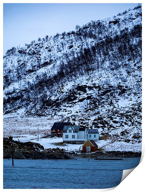 Norwegian Homes, Tromso, Norway Print by Mark Llewellyn