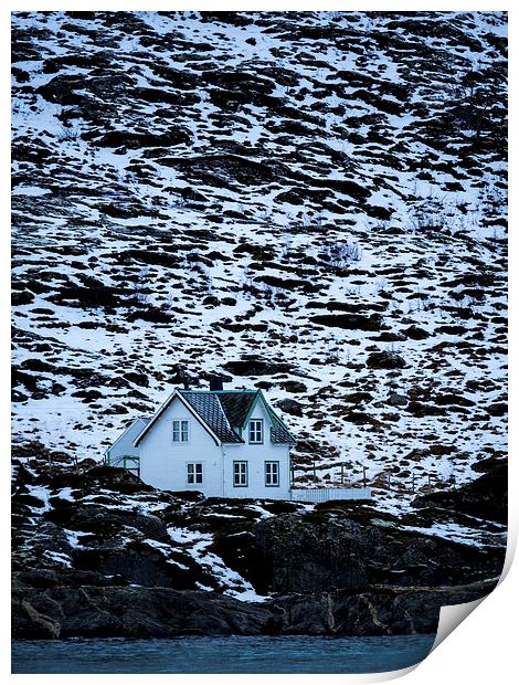 Norwegian Homes, Tromso, Norway Print by Mark Llewellyn
