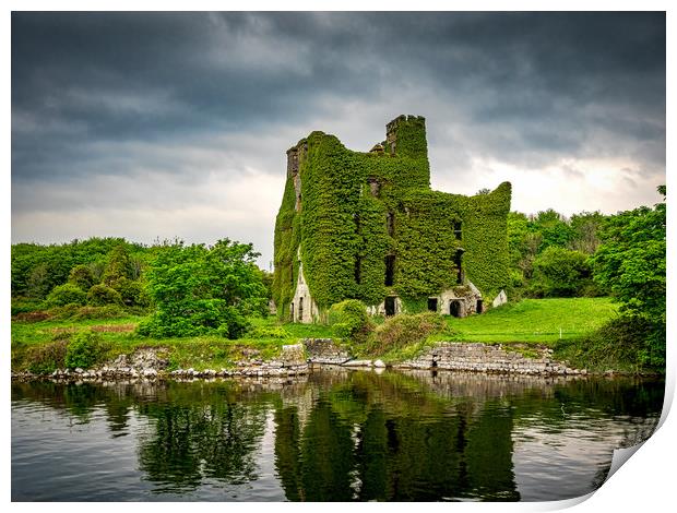 Menlo Castle, Galway, Ireland Print by Mark Llewellyn