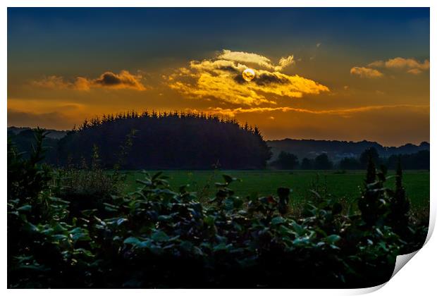 Summer Sunrise, Pembrokeshire, Wales, UK Print by Mark Llewellyn