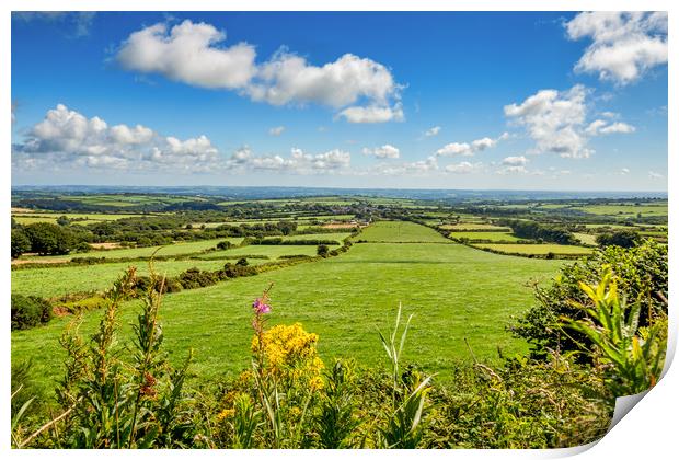 Preseli Mountains, Pembrokeshire, Wales, UK Print by Mark Llewellyn