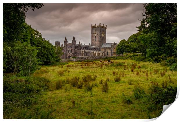 St Davids Cathedral, Pembrokeshire, Wales, UK Print by Mark Llewellyn