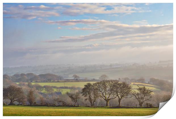 Misty January, Pembrokeshire, Wales, UK Print by Mark Llewellyn