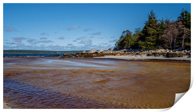 Carters Beach, Nova Scotia, Canada Print by Mark Llewellyn