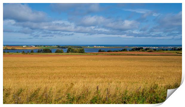 North Cape, Prince Edward Island, Canada Print by Mark Llewellyn