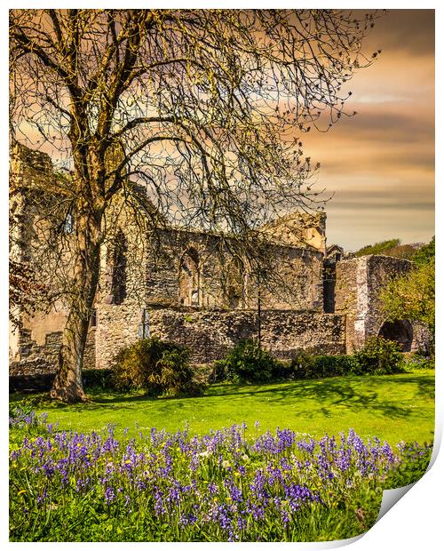 St Davids Abbey, Pembrokeshire, Wales, UK Print by Mark Llewellyn