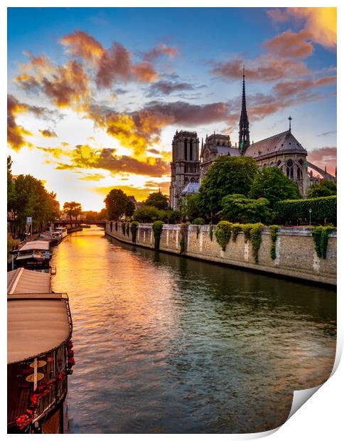 Notre Dame Evening, Paris, France Print by Mark Llewellyn