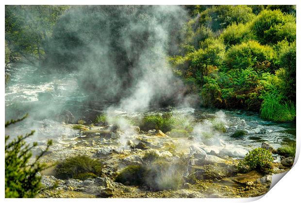 Hot Mud Springs, Rotorua, New Zealand Print by Mark Llewellyn
