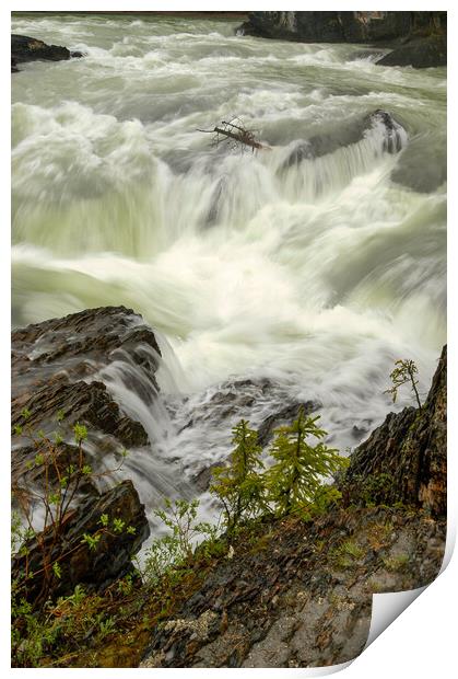 Canadian Rapids, Canada Print by Mark Llewellyn