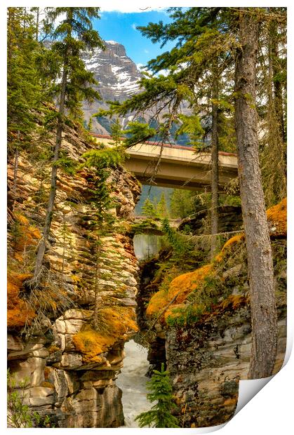 Mossy Gorge, Jasper, Canada Print by Mark Llewellyn