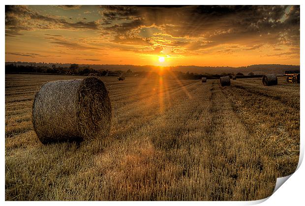 Harvest Cornfield Sunset Print by Simon West
