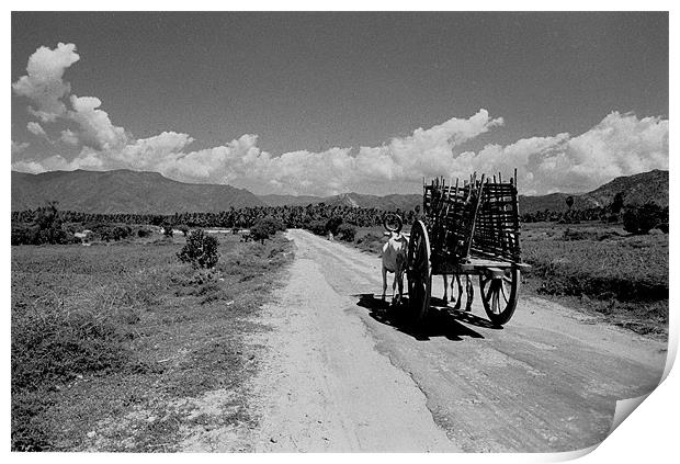 The Road To The Palani Hills India Print by Peter Spenceley