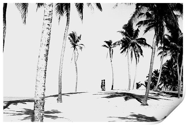 Palm Trees India Print by Peter Spenceley