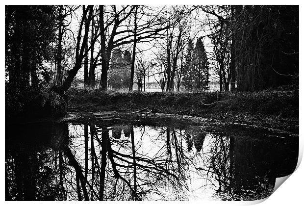 Reflections on pond Print by Adam Clarkson