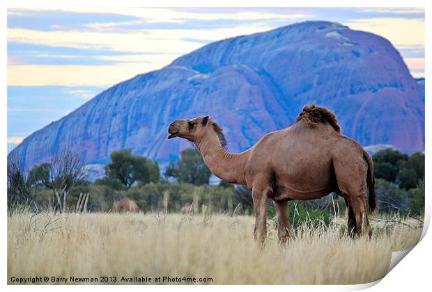 Camel Rock Print by Barry Newman