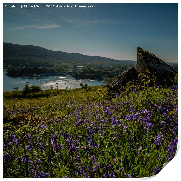 Portree from a carpet of Bluebells on Ben Chracaig Print by Richard Smith