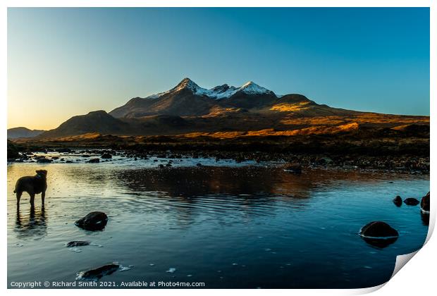 Like myself my dog appreciates the view and the sunrises. Print by Richard Smith