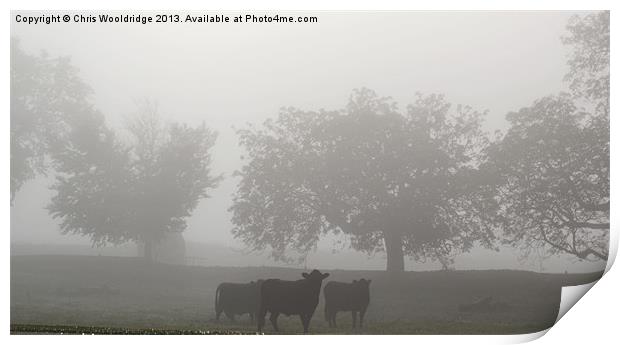 Grazing in the morning mist Print by Chris Wooldridge