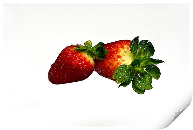 Strawberrys Print by Justyna studio