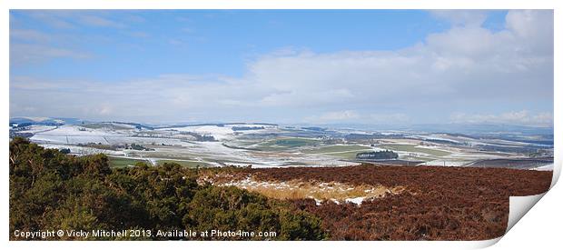 View from Brimmond Hill Print by Vicky Mitchell