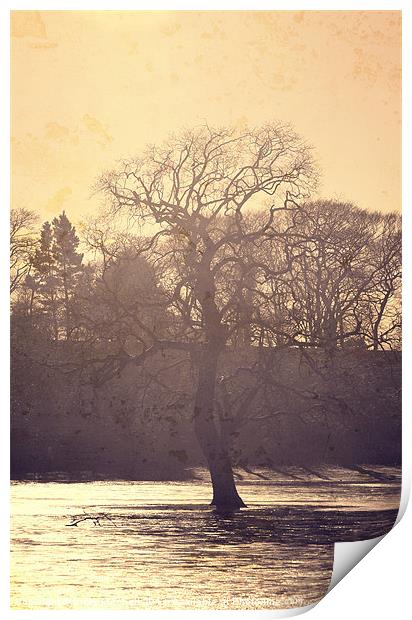 Golden Tree Print by Vicky Mitchell