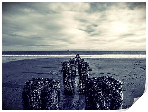 Groynes at Aberdeen Beach Print by Vicky Mitchell