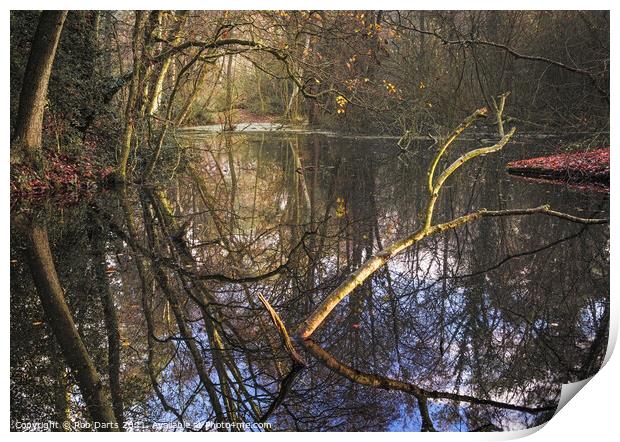 Woodland Reflections Print by Rob Darts