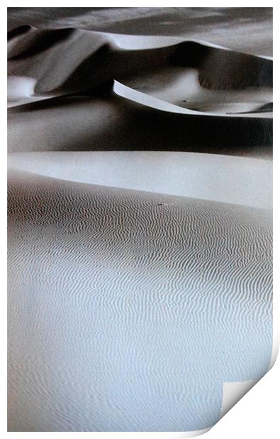sand dunes Print by caren chapman