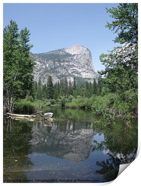 Reflection on  Mirror Lake Yosemite Print by Victoria  Callaghan