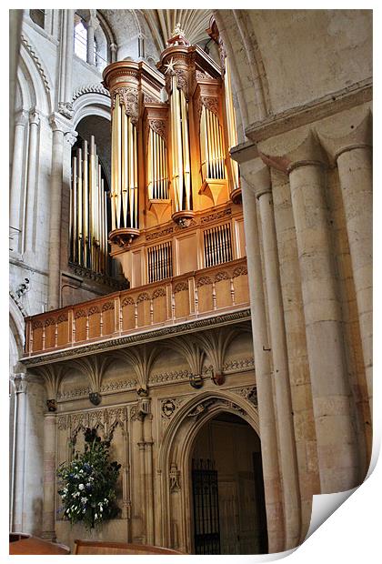The Pipes At Norwich Cathedral Print by Mark Lee