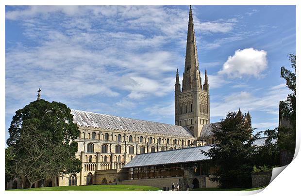 Norwich Cathedral Norwich UK Print by Mark Lee