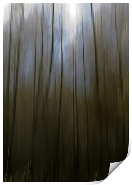 Woodland Blur Print by Nigel Jones
